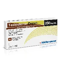 Testosterone Enanthate 250mg/ml 10x1ml Ampullen von Rotexmedica